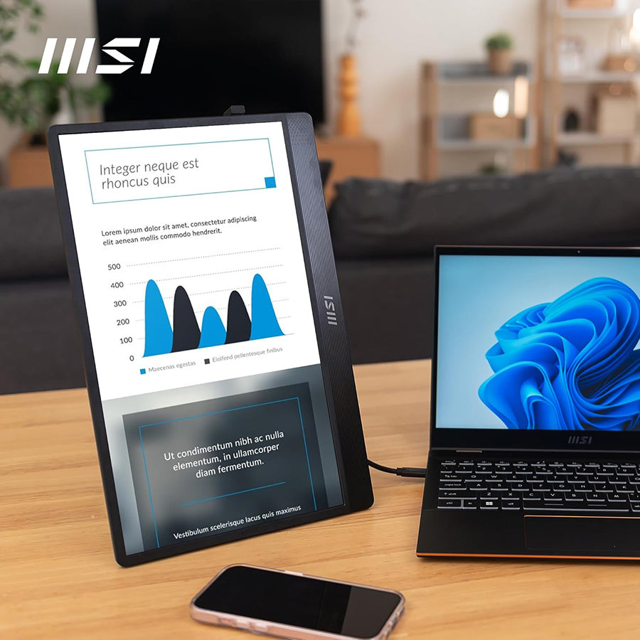 MSI PRO MP165 E6 15.6" FHD Portable Monitor
